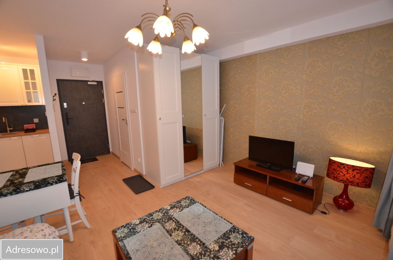 Mieszkanie 1-pokojowe Poznań Stare Miasto, ul. Wilczak. Zdjęcie 5