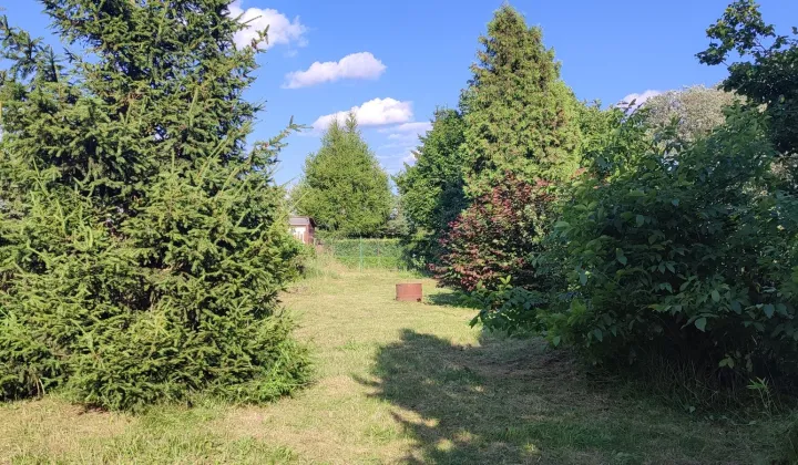 Działka rod Zawiercie Centrum, Działka Rod Hutnik II