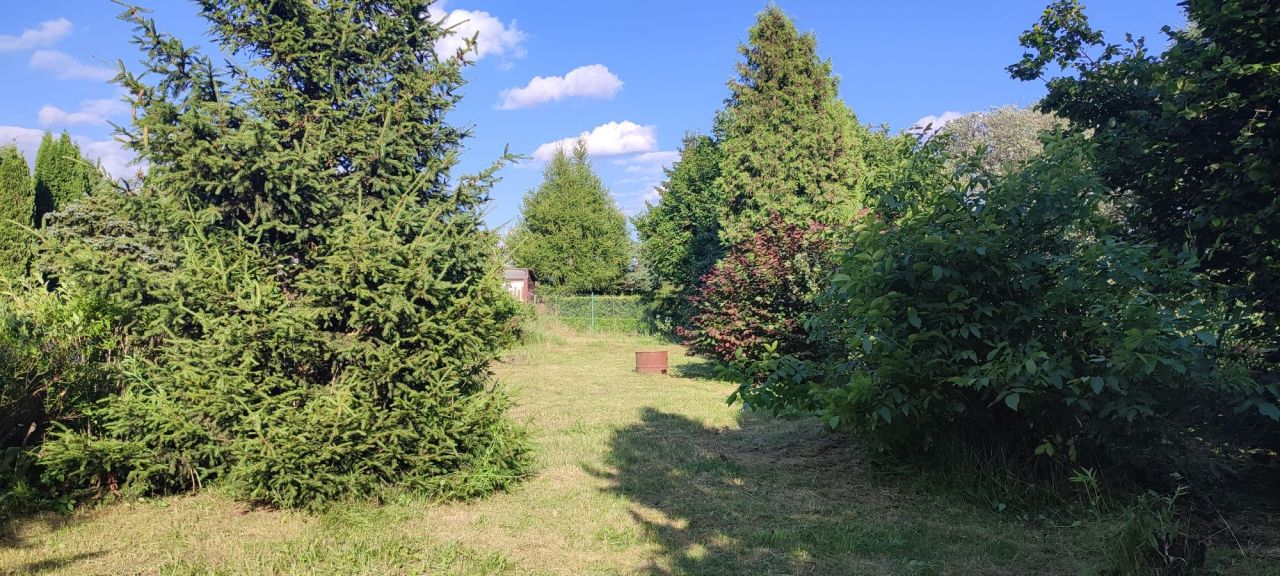 Działka rod Zawiercie Centrum, Działka Rod Hutnik II. Zdjęcie 1