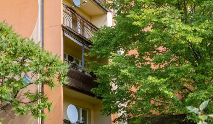 Mieszkanie 3-pokojowe Bełchatów Binków