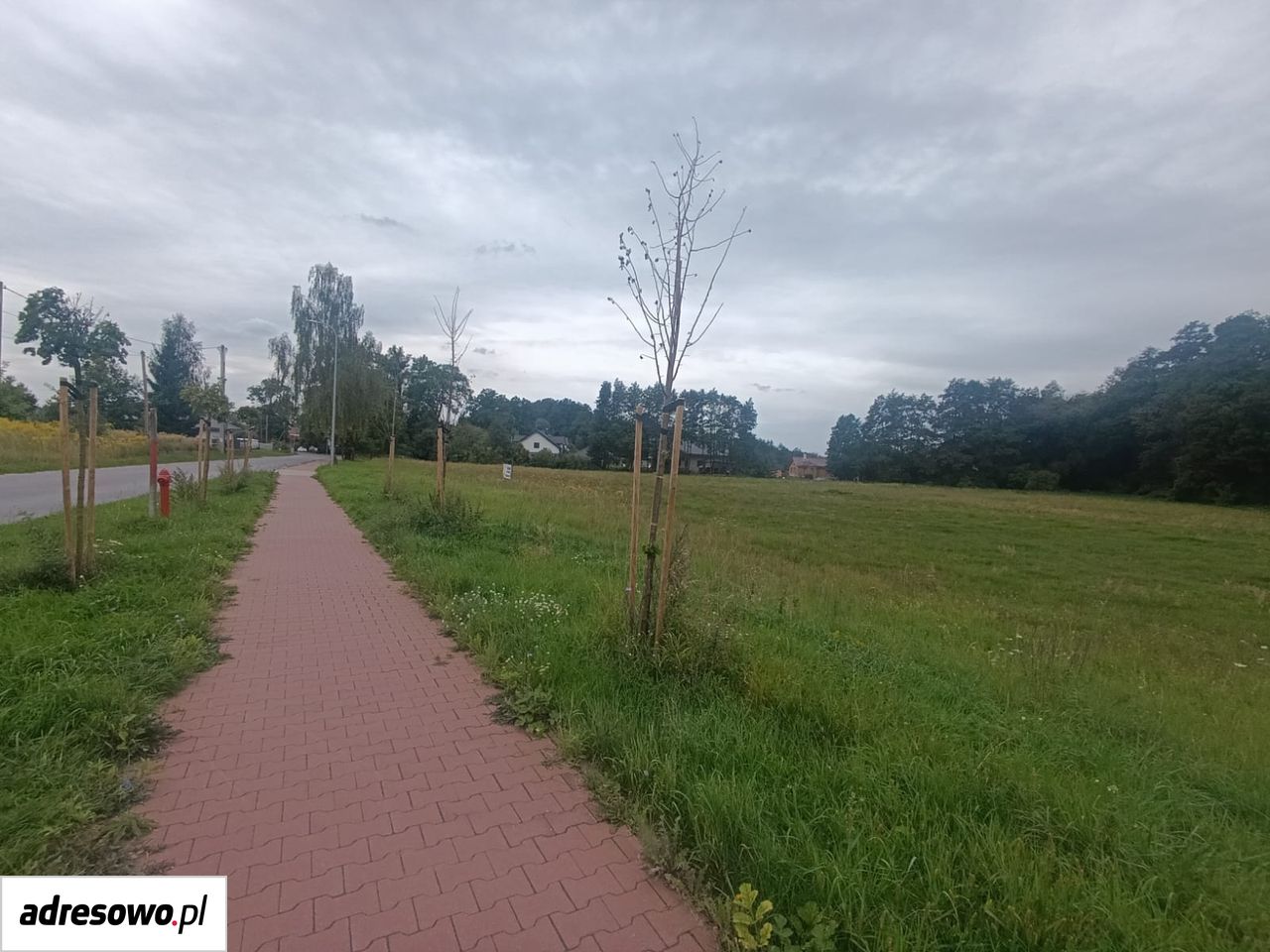 Działka budowlana Obłotne, ul. Kobaltowa. Zdjęcie 9