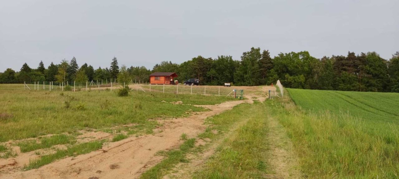 Działka rolno-budowlana Ostrowite. Zdjęcie 2