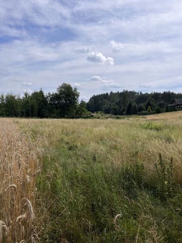 Działka rolno-budowlana Ładnówko. Zdjęcie 1