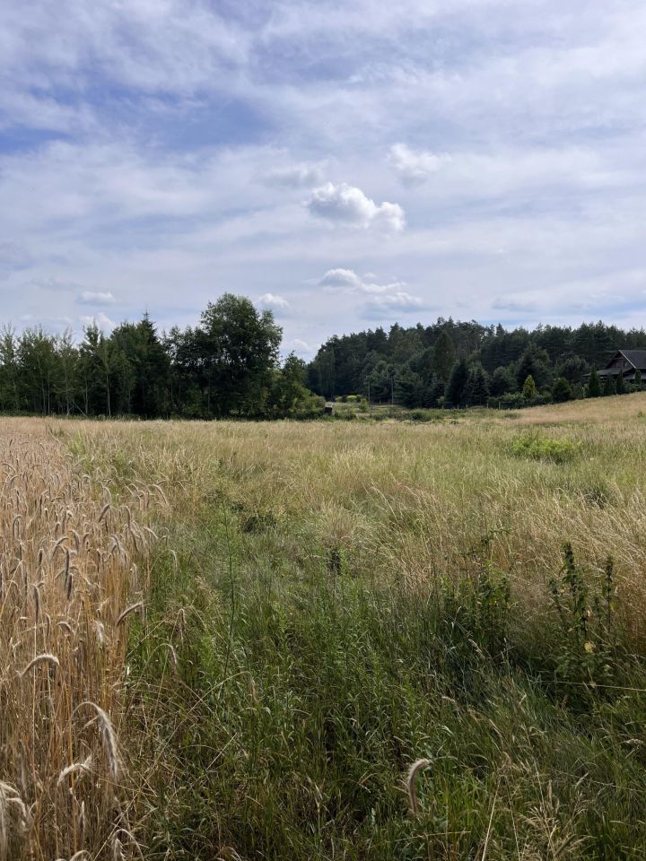 Działka rolno-budowlana Ładnówko
