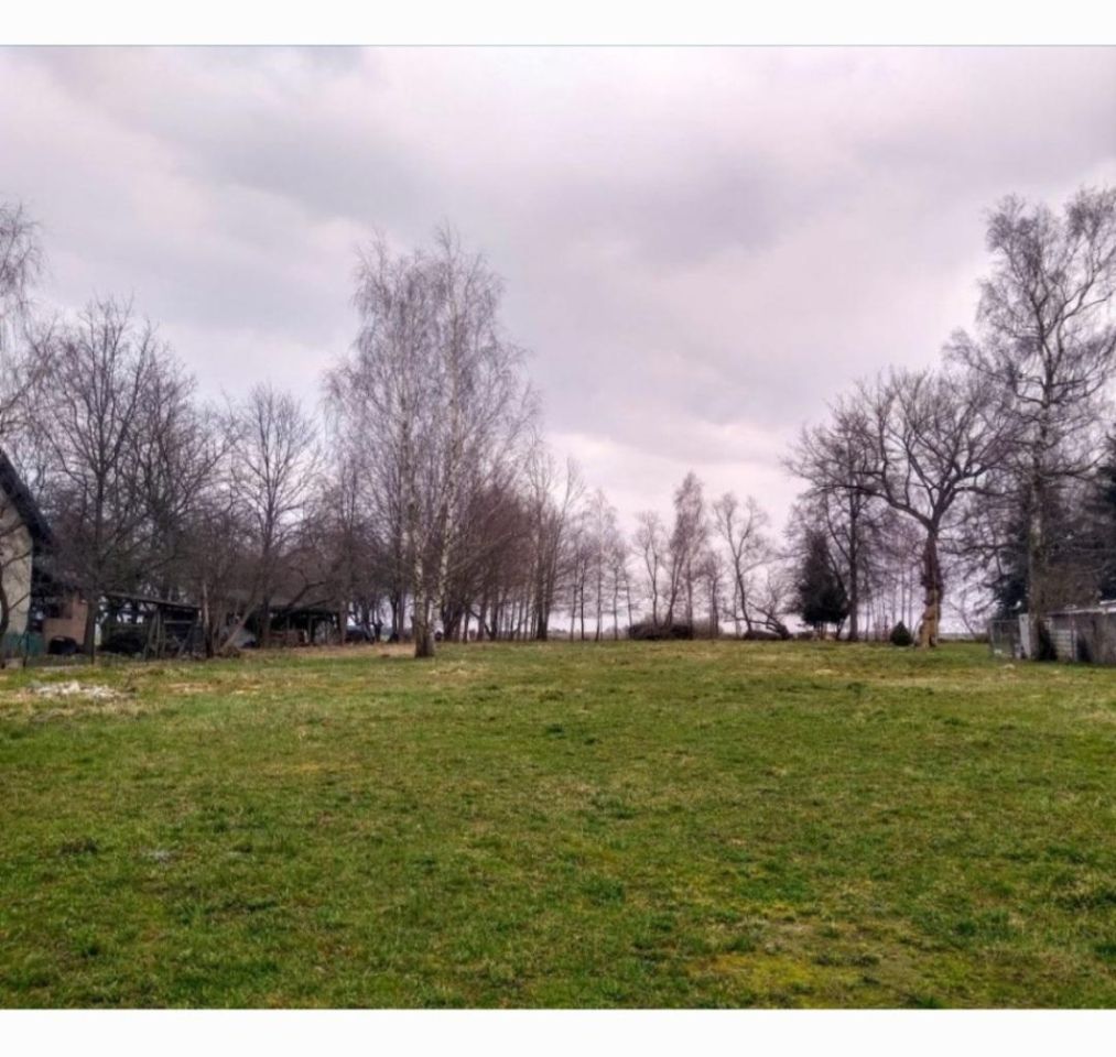 Działka rolno-budowlana Wielęcin. Zdjęcie 4