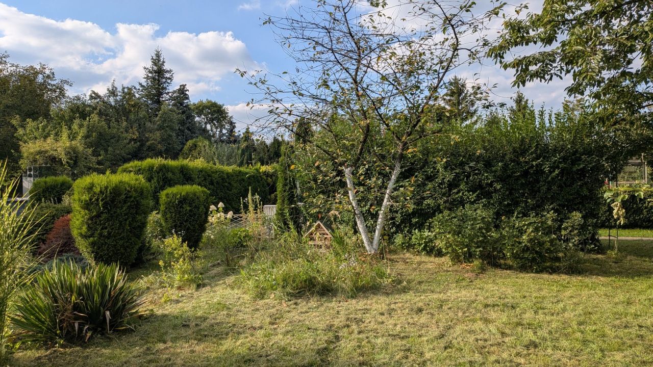 Działka rod Tarnowskie Góry. Zdjęcie 2