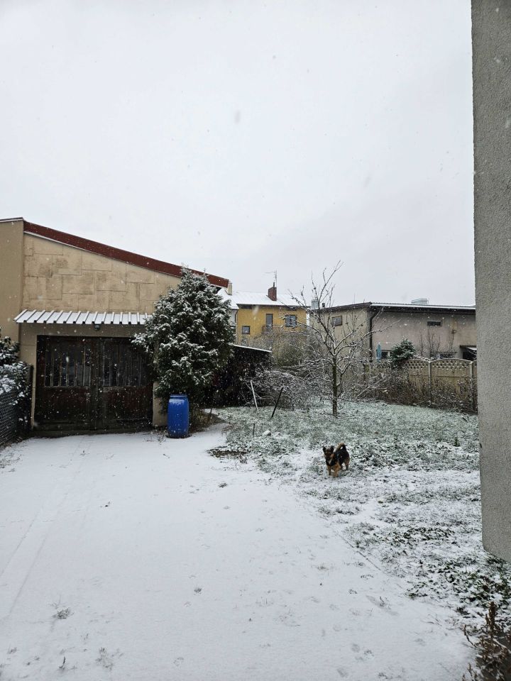 bliźniak Żyrardów. Zdjęcie 4