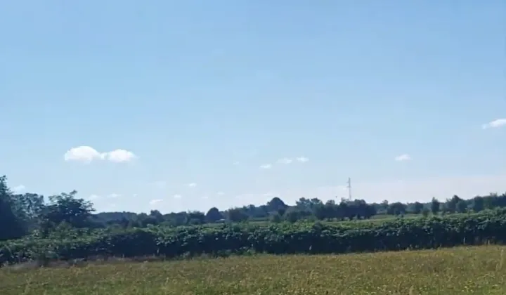 Działka rolno-budowlana Orpelów