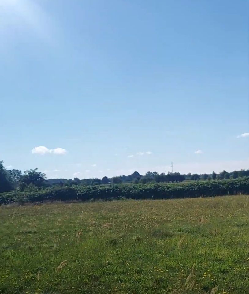 Działka rolno-budowlana Orpelów. Zdjęcie 1