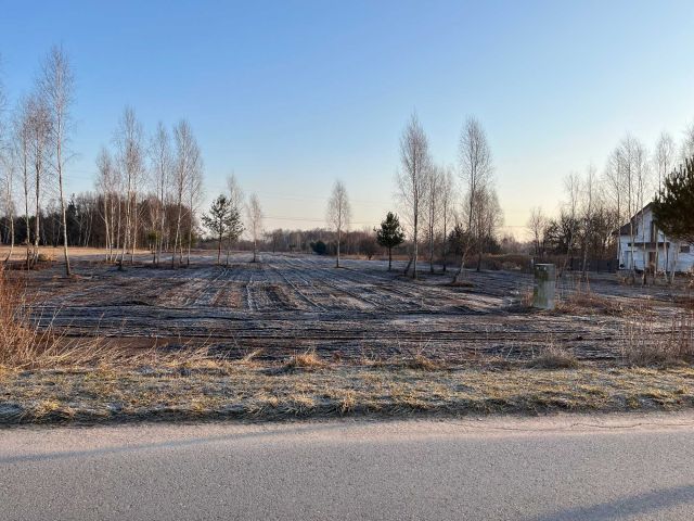 Działka budowlana Wielgolas Brzeziński, ul. Kaczeńca. Zdjęcie 1