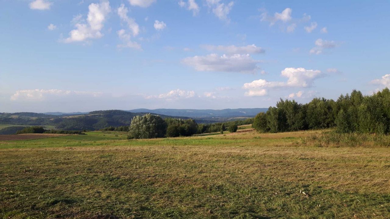 Działka budowlana Czaszyn. Zdjęcie 3