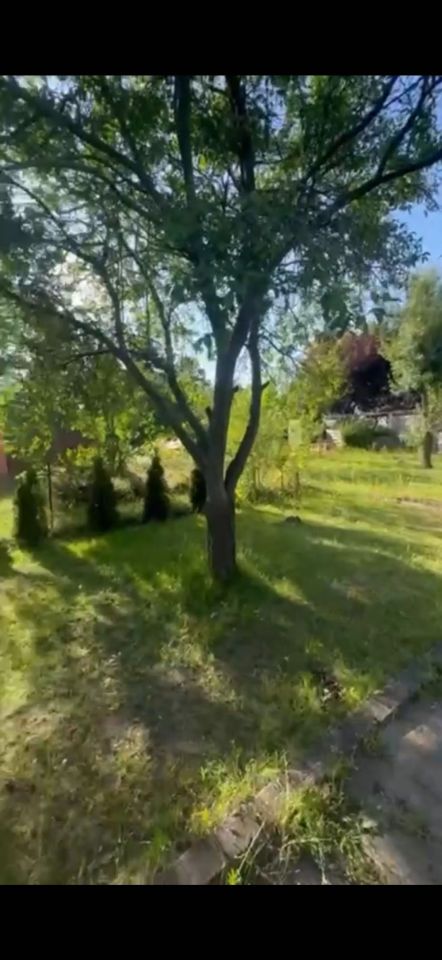 Działka rod Zielona Góra Przylep, ul. Przylep-Solidarności. Zdjęcie 7