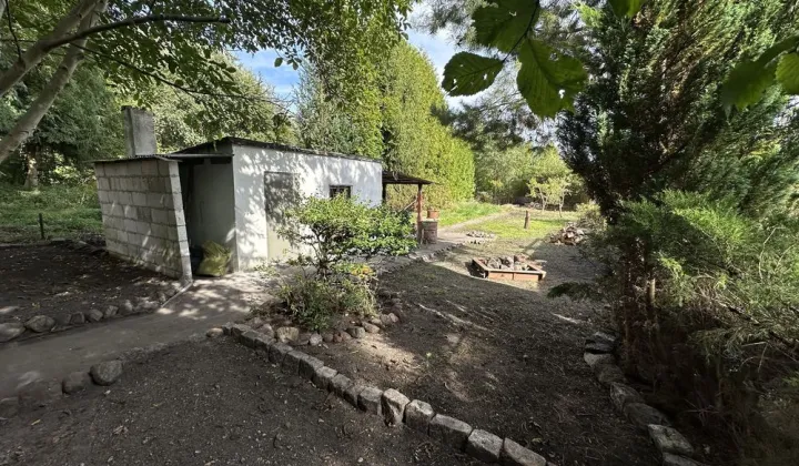 Działka rod Piła, ul. Chopina