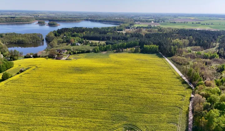 Działka budowlana Skrzynki