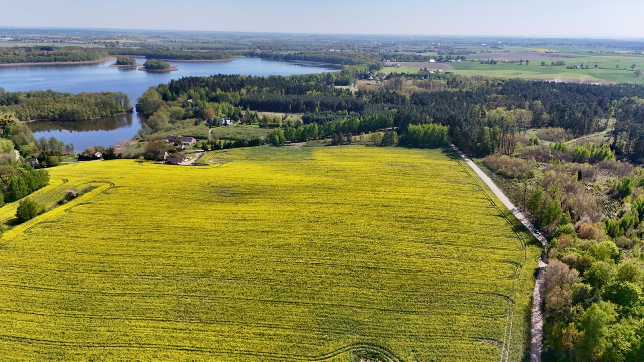 Działka budowlana Skrzynki