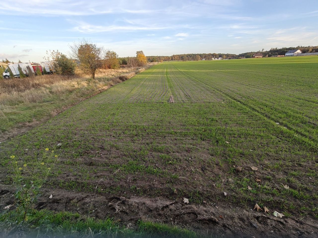 Działka inwestycyjna Czapury. Zdjęcie 2