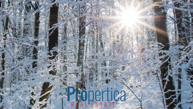 dom wolnostojący, 3 pokoje Natać Wielka. Zdjęcie 5