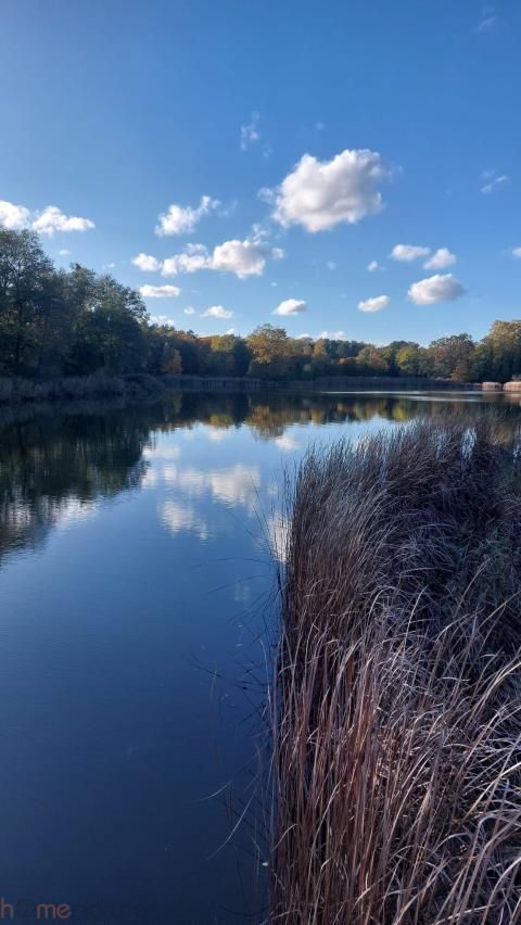 Mieszkanie 2-pokojowe Wrocław Psie Pole, ul. Odolanowska. Zdjęcie 15