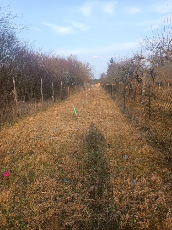Działka rekreacyjna Puławy Włostowice, ul. Polskiej Organizacji Wojskowej. Zdjęcie 3