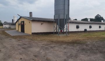 Hala/magazyn Poniatowo