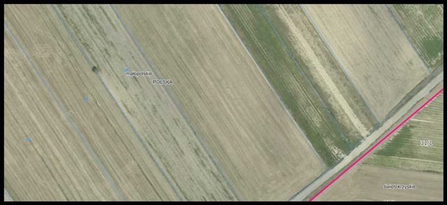 Działka rolna Kościejów Opaty. Zdjęcie 1