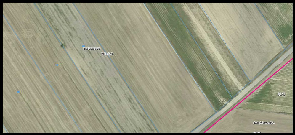 Działka rolna Kościejów Opaty. Zdjęcie 1