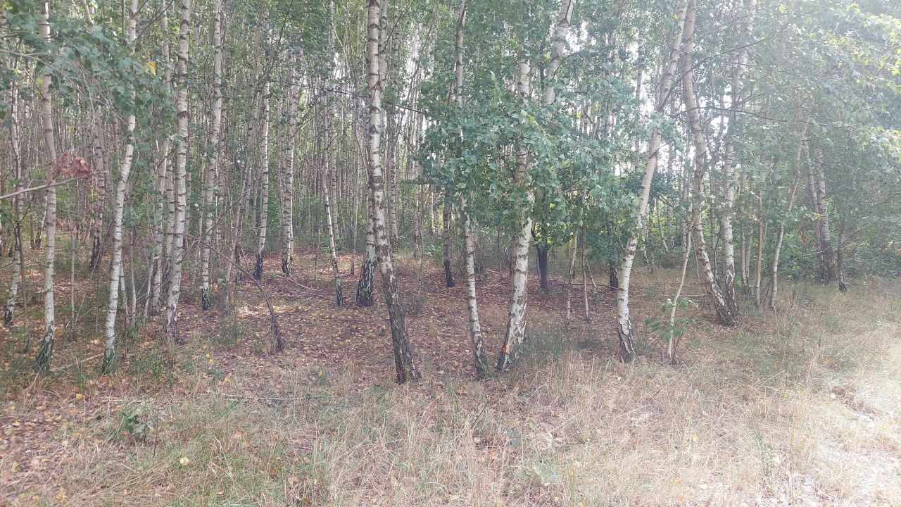 Działka budowlana Łobódź. Zdjęcie 3