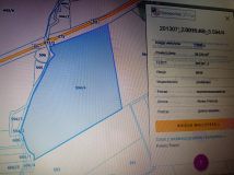 Działka leśna Krasowo-Częstki. Zdjęcie 3