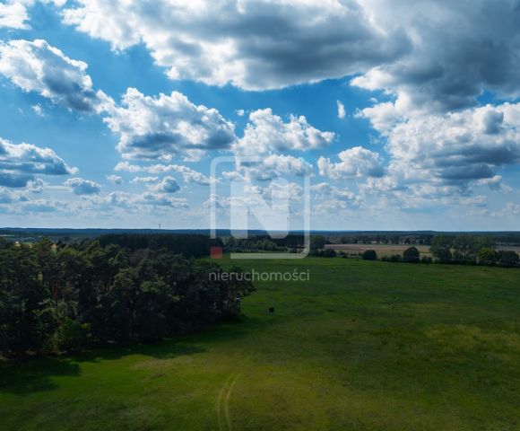 Działka budowlana Jarnatów. Zdjęcie 7