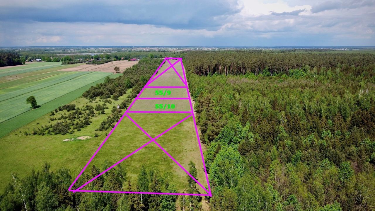 Działka siedliskowa Orzechówka. Zdjęcie 7