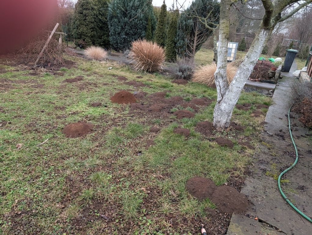 Działka rod Opole. Zdjęcie 7