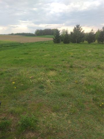 Działka budowlana Prawocice. Zdjęcie 1