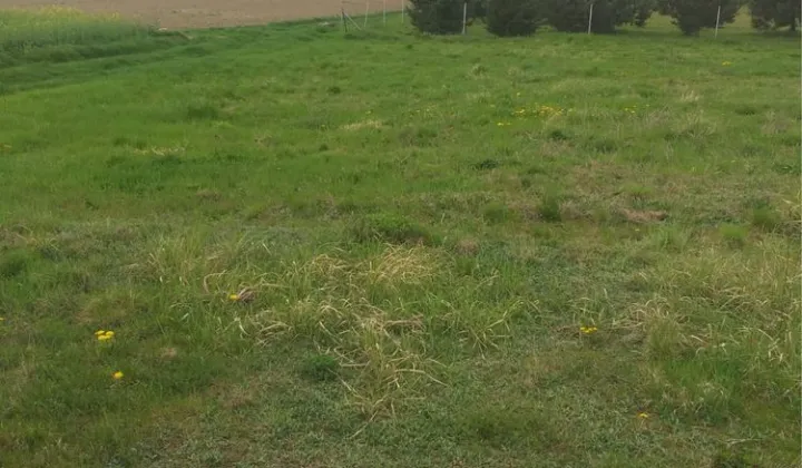 Działka budowlana Prawocice