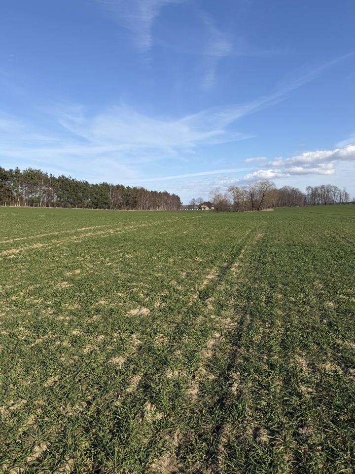 Działka rolna Łuskowo, Łuskowo. Zdjęcie 4