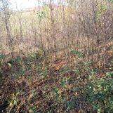 bliźniak, 2 pokoje Nowy Probark. Zdjęcie 1