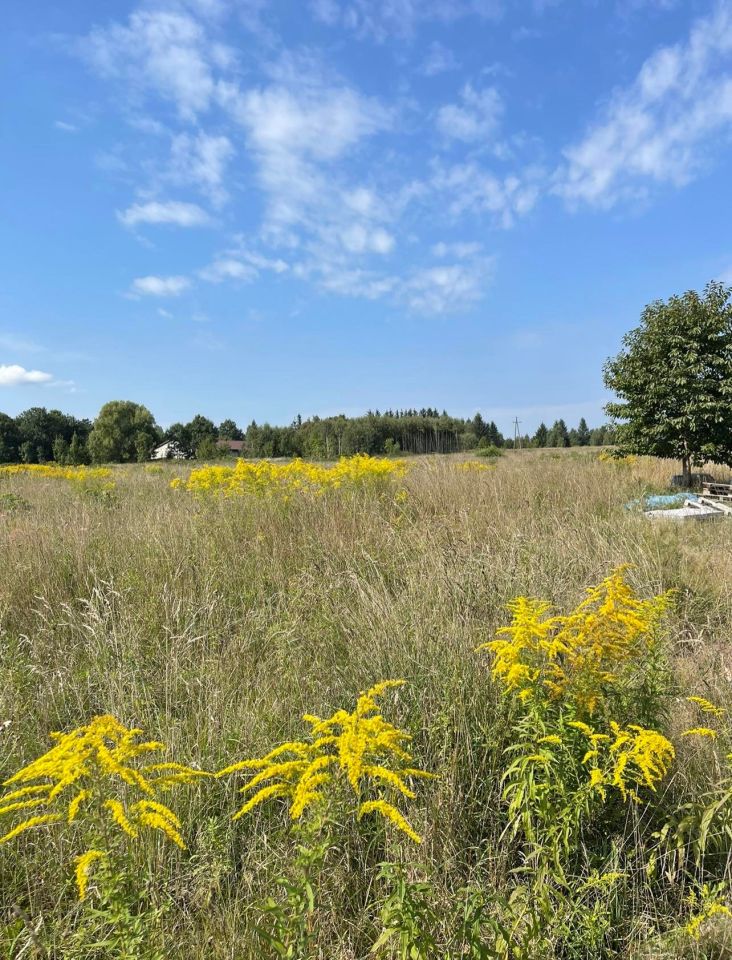 Działka budowlana Mroczkowice. Zdjęcie 6