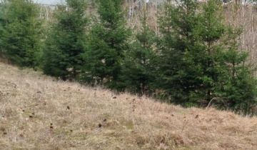 Działka budowlana Jasionów