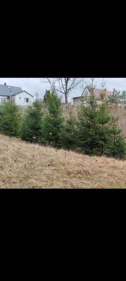 Działka budowlana Jasionów. Zdjęcie 2