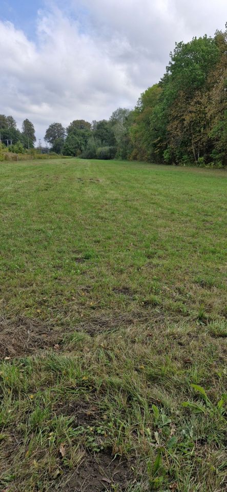 Działka rolna Antoniewo. Zdjęcie 4