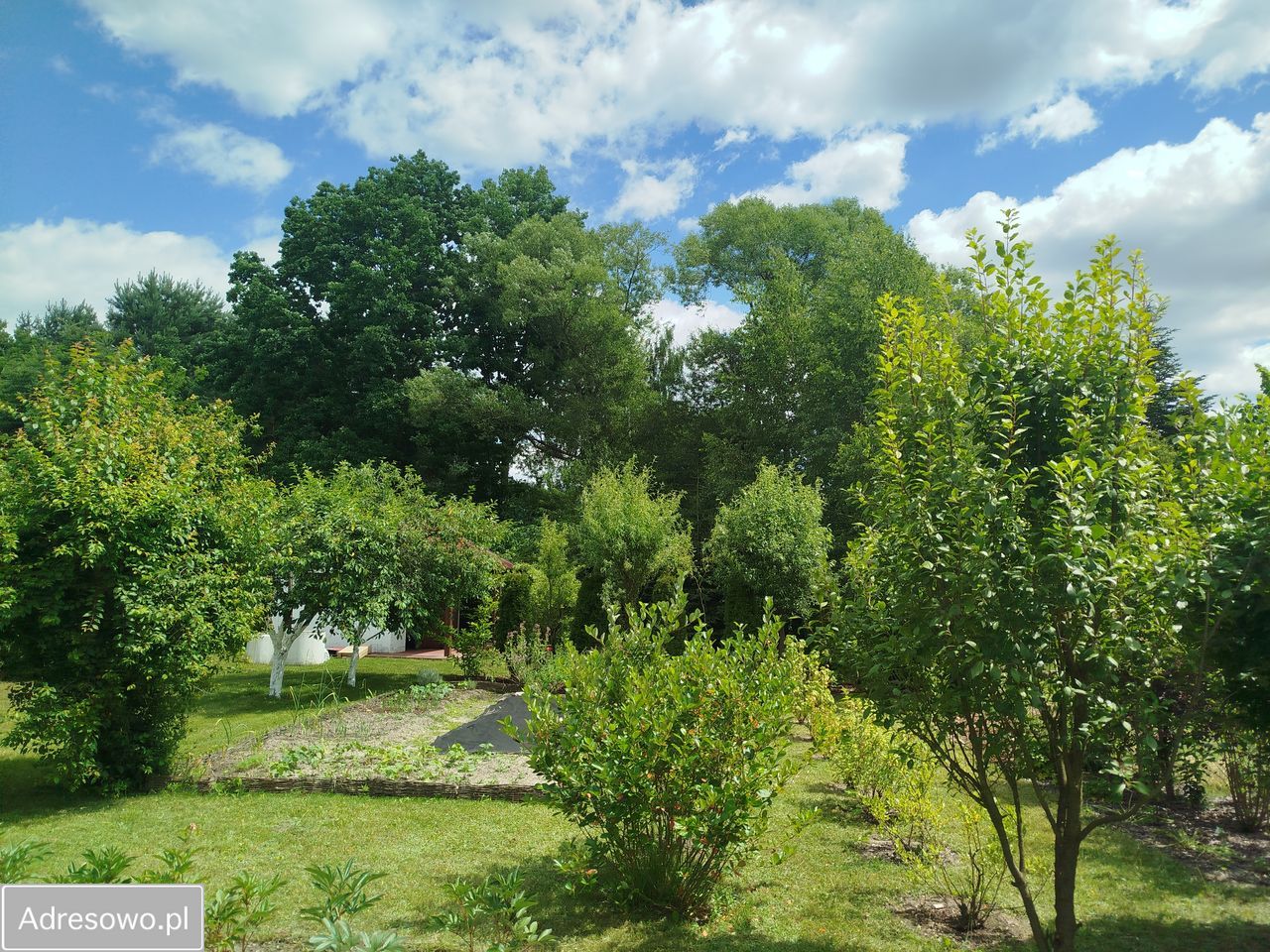 Działka rod Ostrowiec Świętokrzyski, ul. Las Rzeczki. Zdjęcie 8