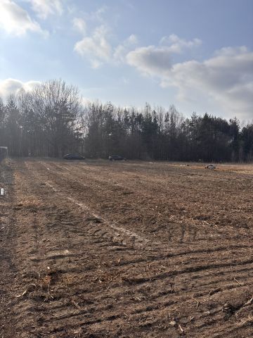 Działka budowlana Gorzelnia Stara Gorzelnia, ul. Wielkoborska. Zdjęcie 4