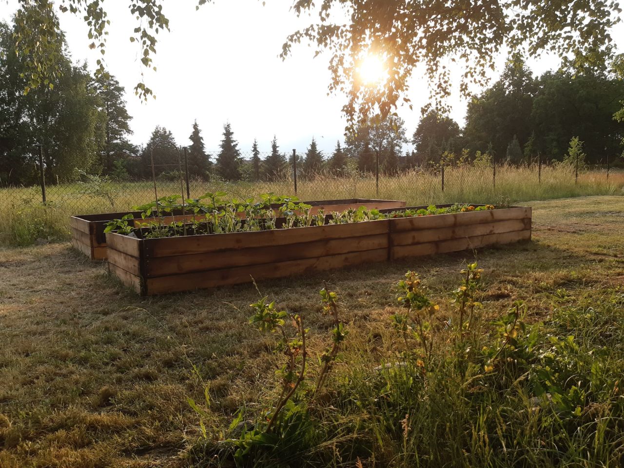 Działka budowlana Podbiel Krupińskie, Sosnowa. Zdjęcie 18