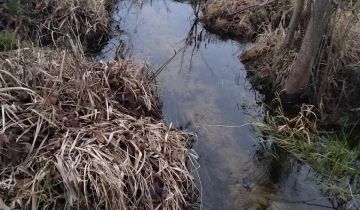 Działka rolna Mostołty