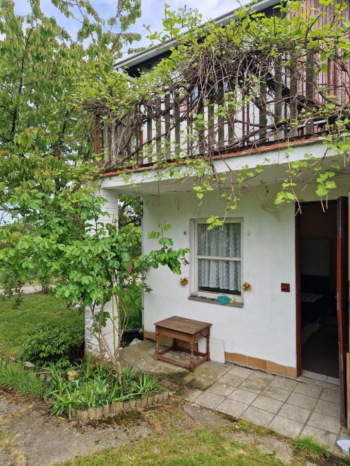 Działka rod Szczecin Bukowe. Zdjęcie 8