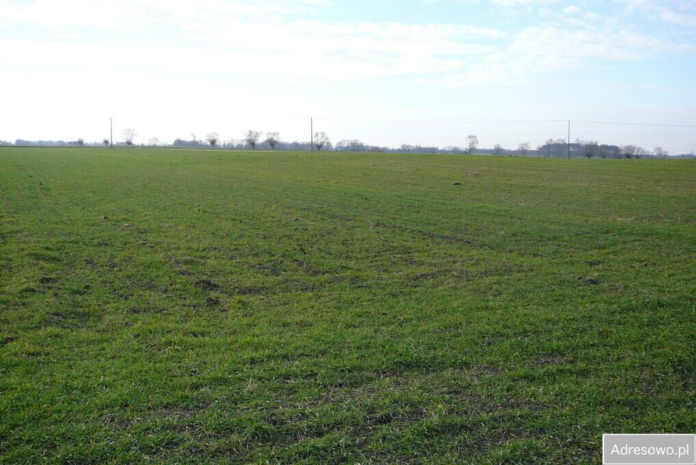 Działka budowlana Grzebienisko. Zdjęcie 2