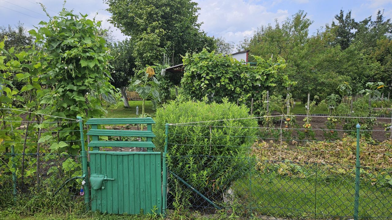 Działka rod Wołów, ul. Spacerowa. Zdjęcie 7