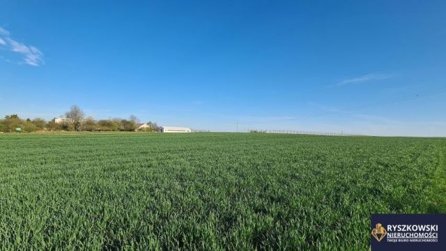 Działka budowlana Sitaniec. Zdjęcie 6