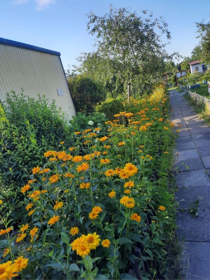 Działka rod Lębork. Zdjęcie 5