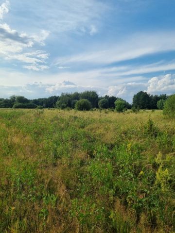 Działka budowlana Wilczkowice Dolne. Zdjęcie 1