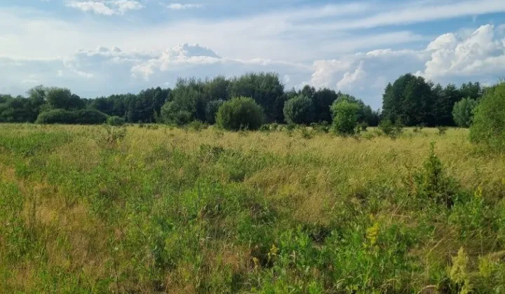 Działka budowlana Wilczkowice Dolne